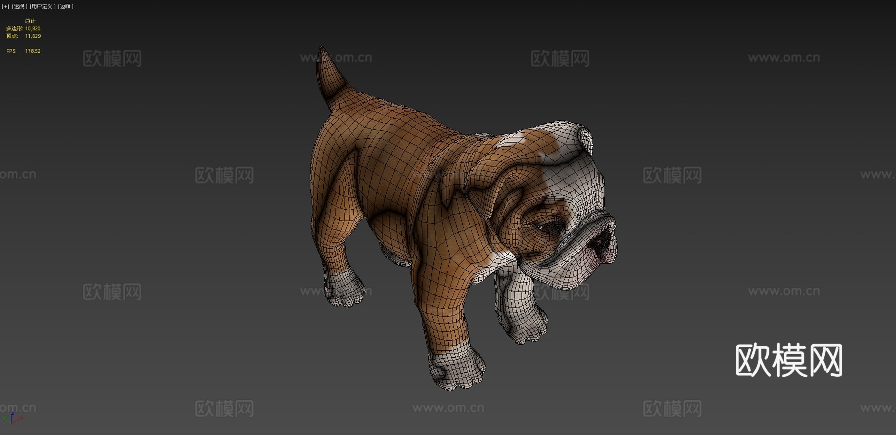 牛头犬幼崽3d模型