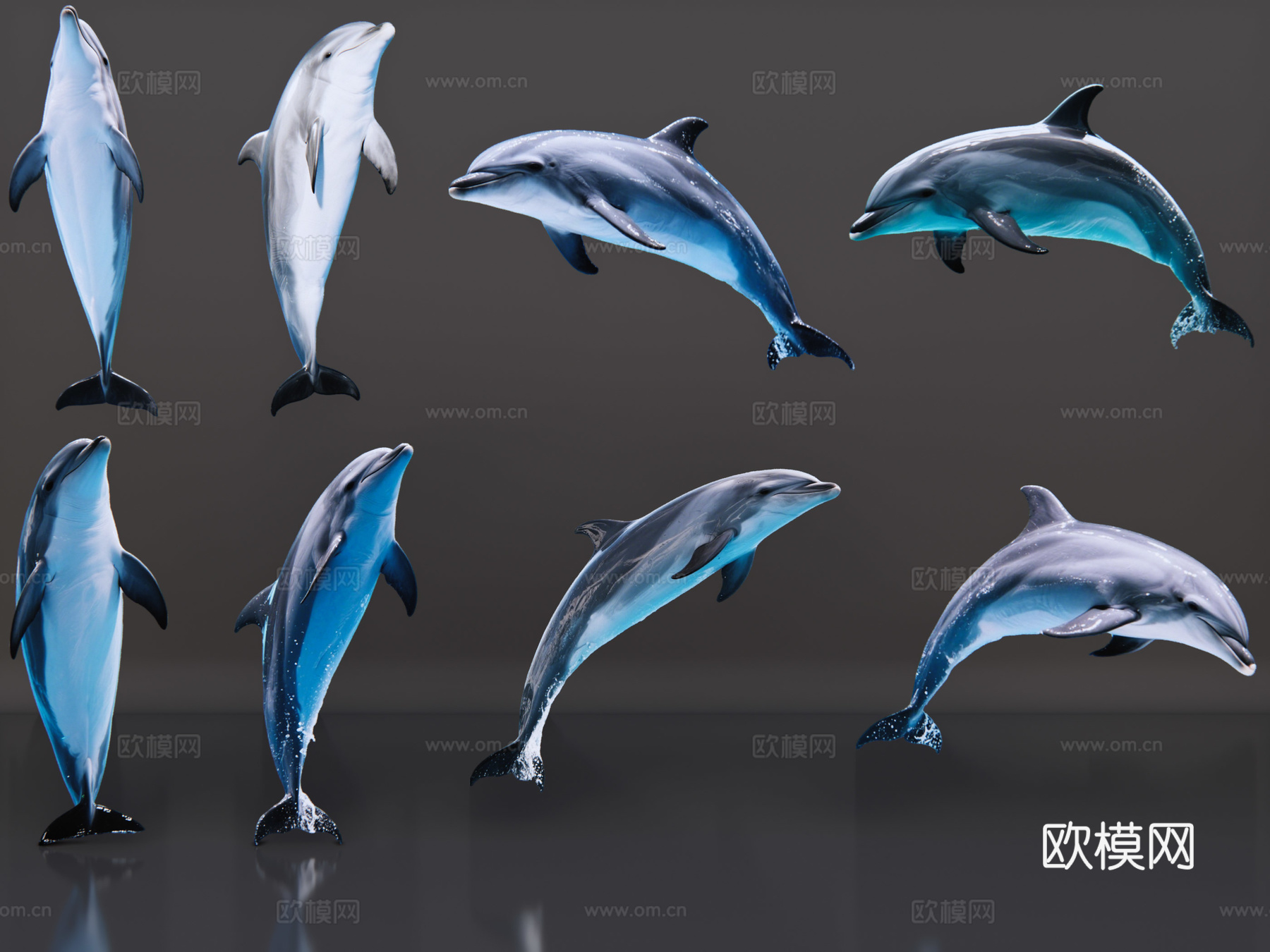 2D动物 海豚 海洋馆 水族馆 动物世界 动物园su模型