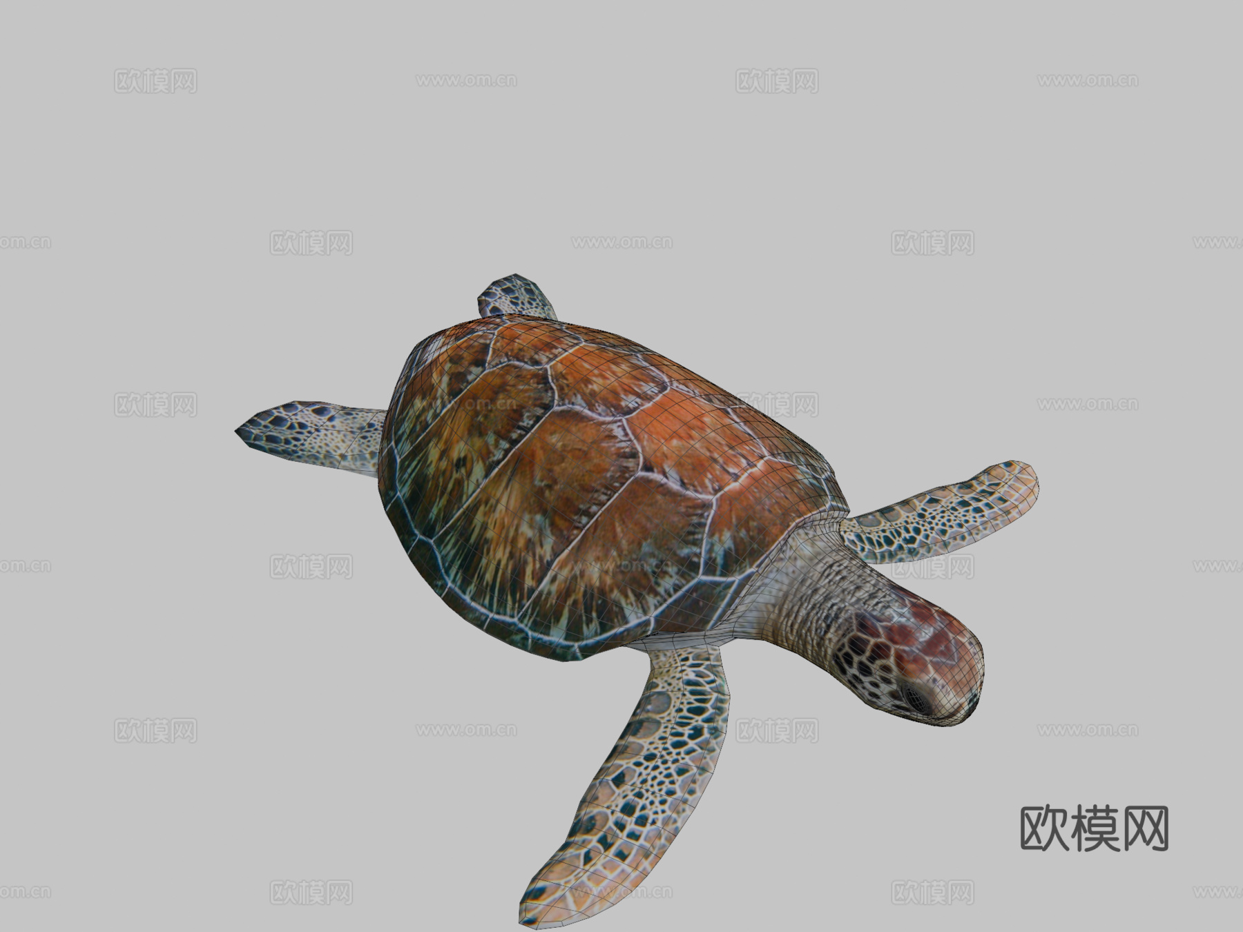 海龟3d模型