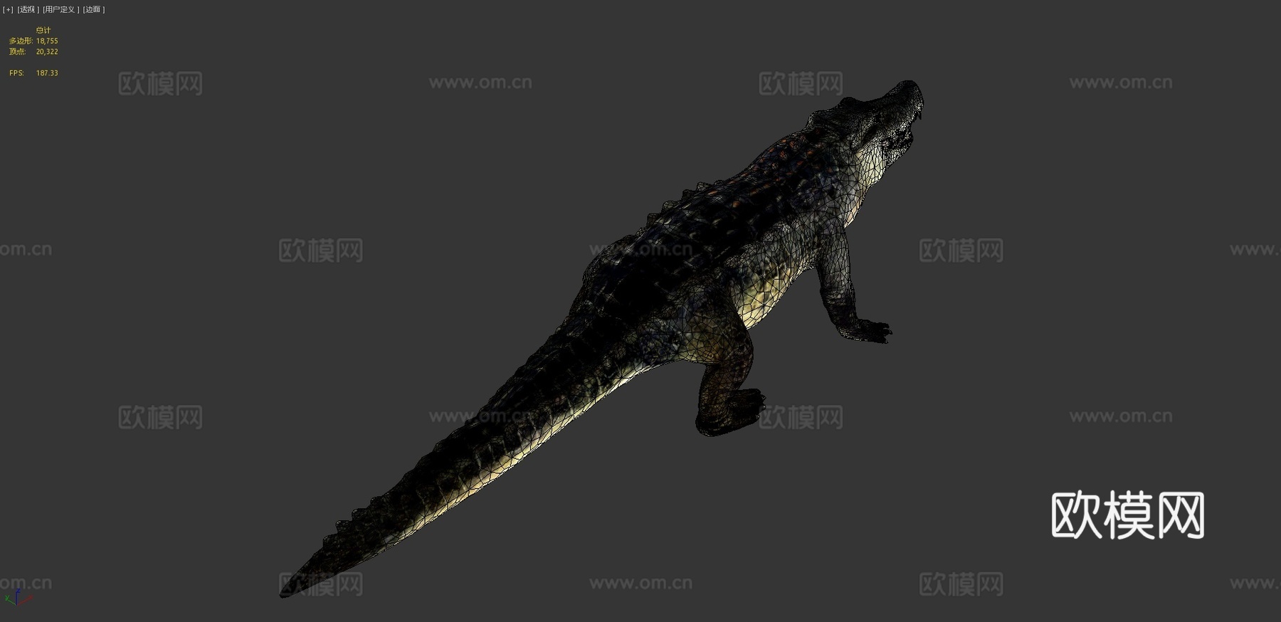 鳄鱼3d模型