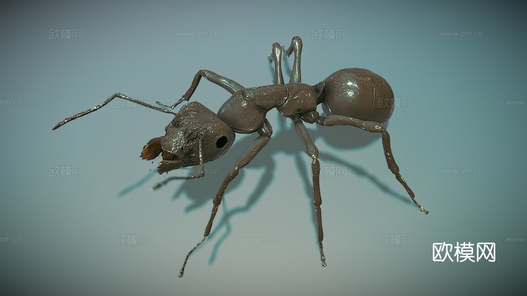 工匠蚁3d模型