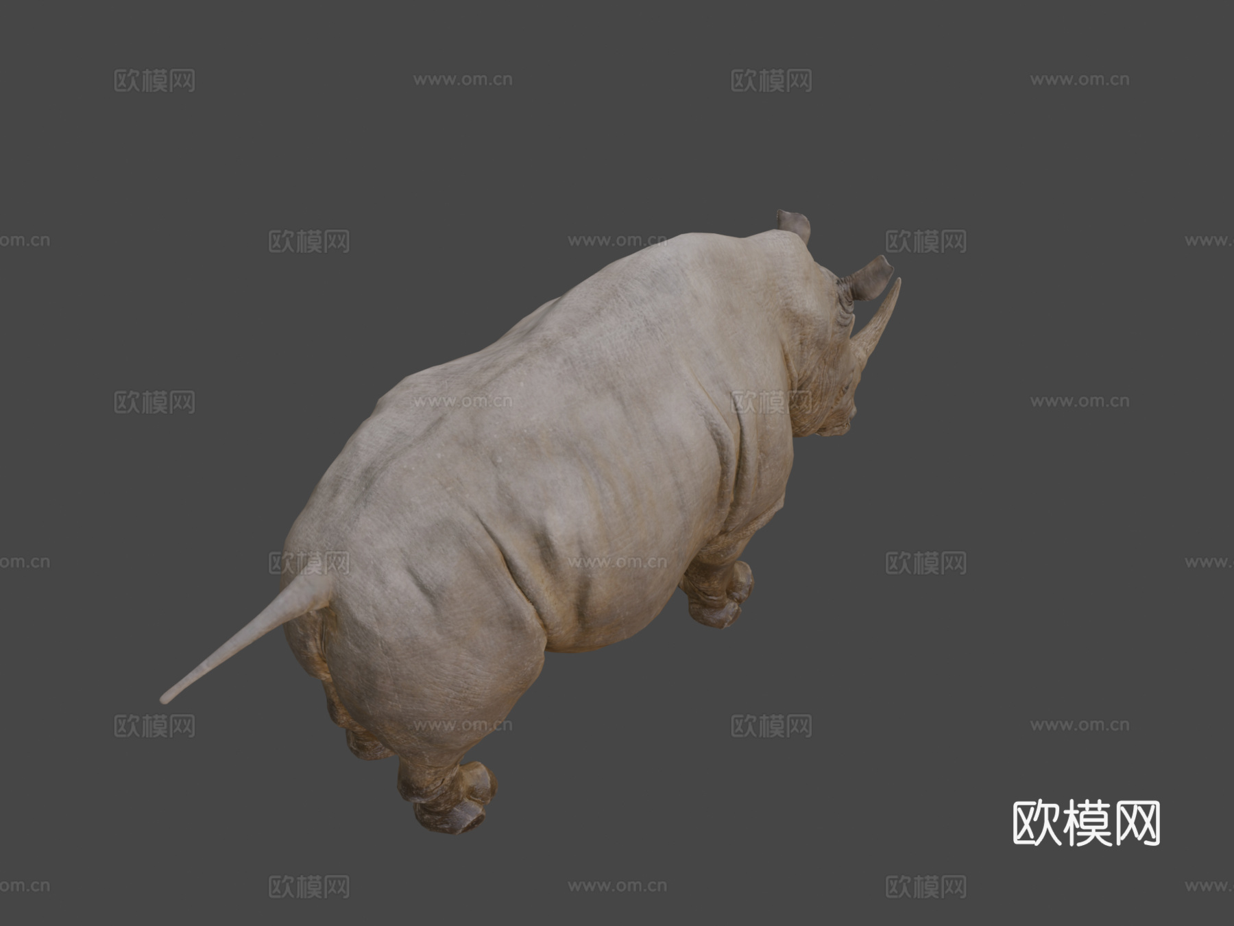 犀牛3d模型