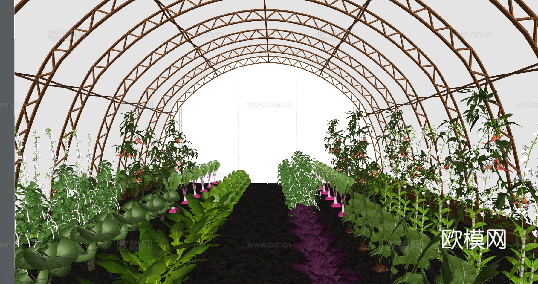 大棚菜地 温室菜地 蔬菜大棚 农作物 菜园大棚su模型