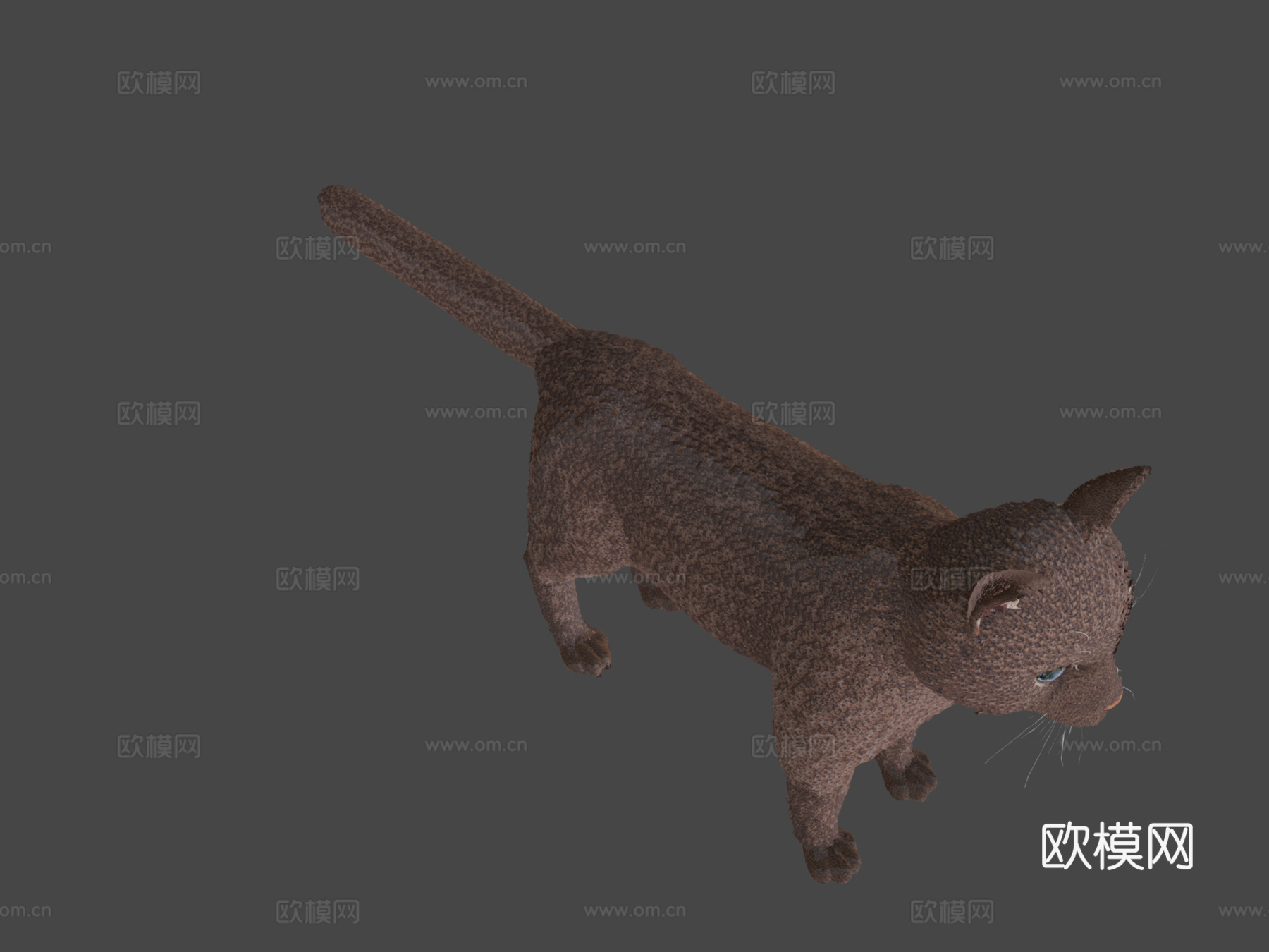 写实猫愿望实时毛发3d模型