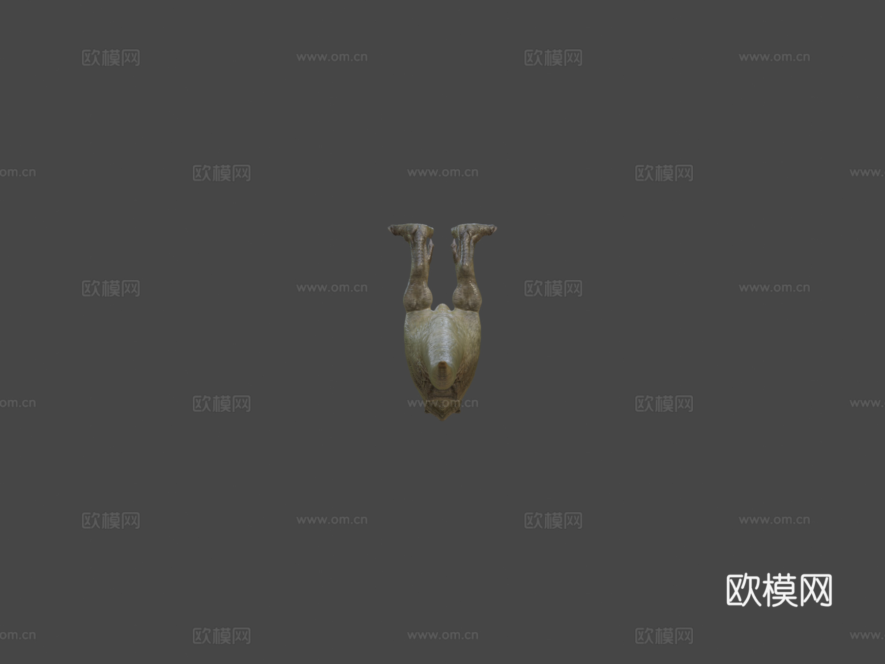 暴龙3d模型