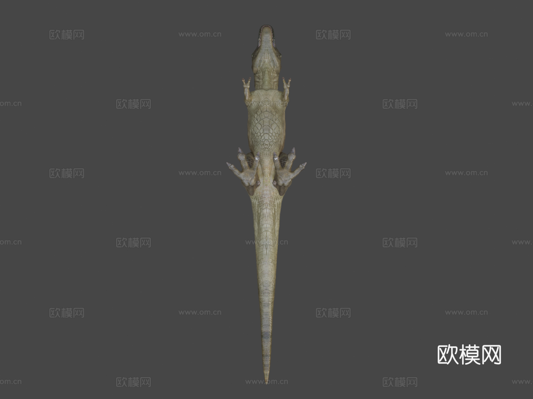 暴龙3d模型
