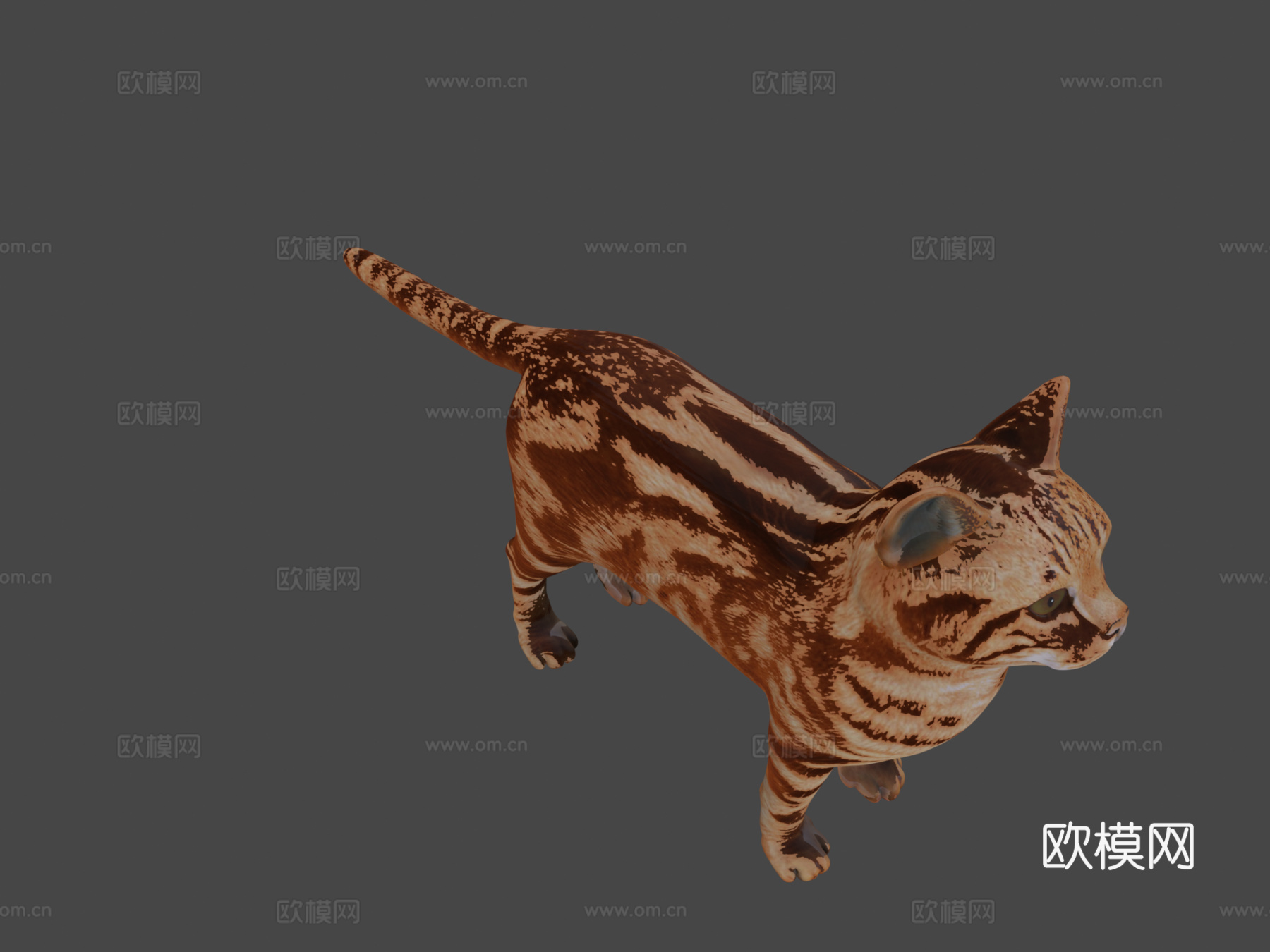 猫3D模型3d模型