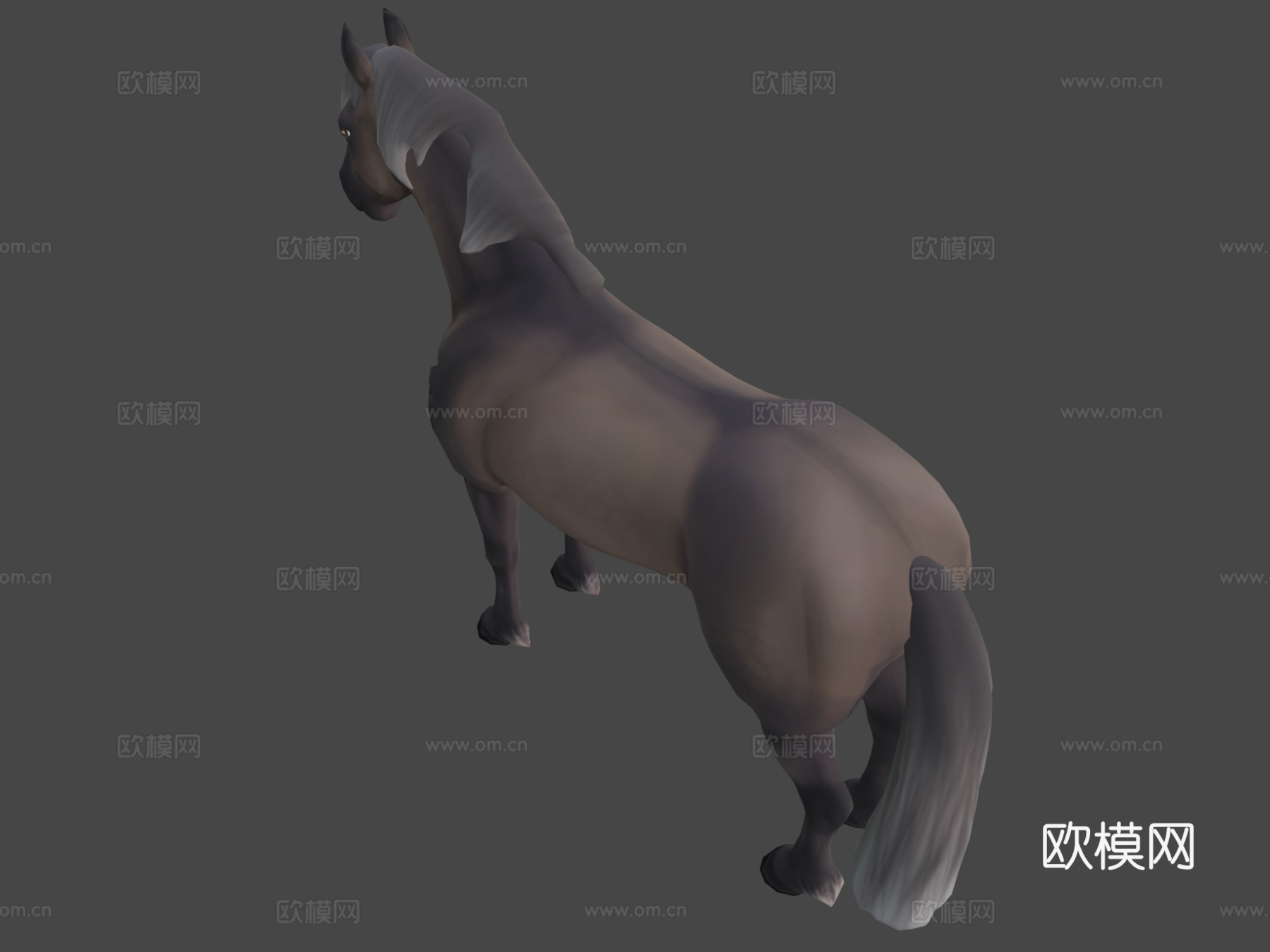 冰岛马3d模型