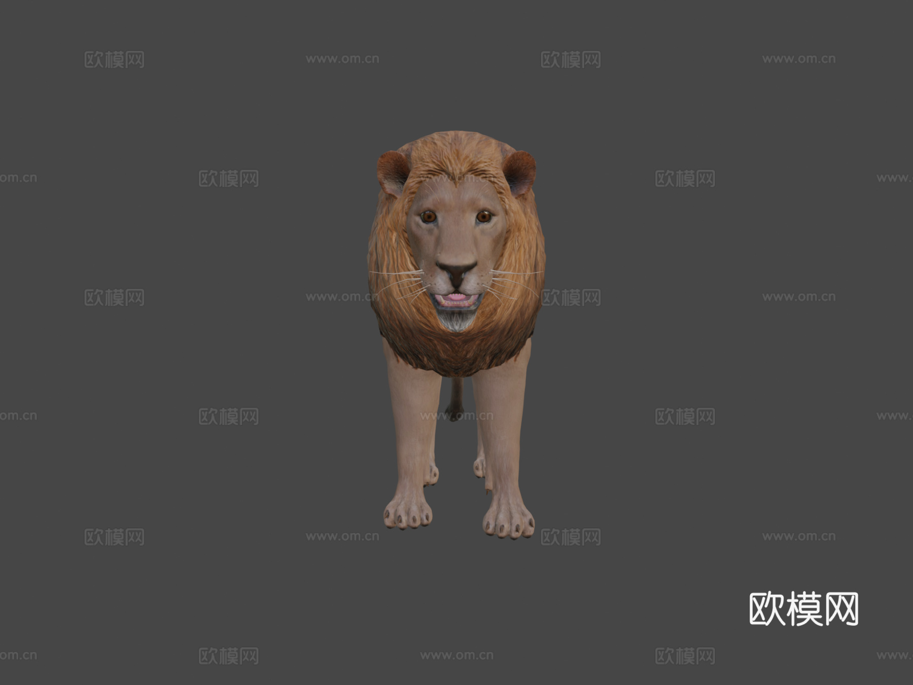 狮子3d模型