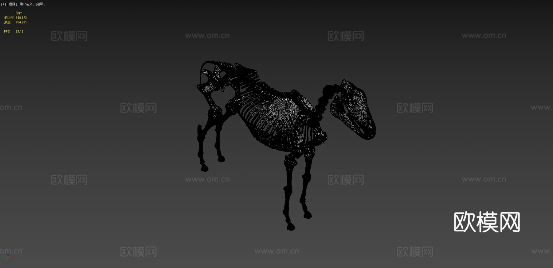 马骨架3D模型3d模型