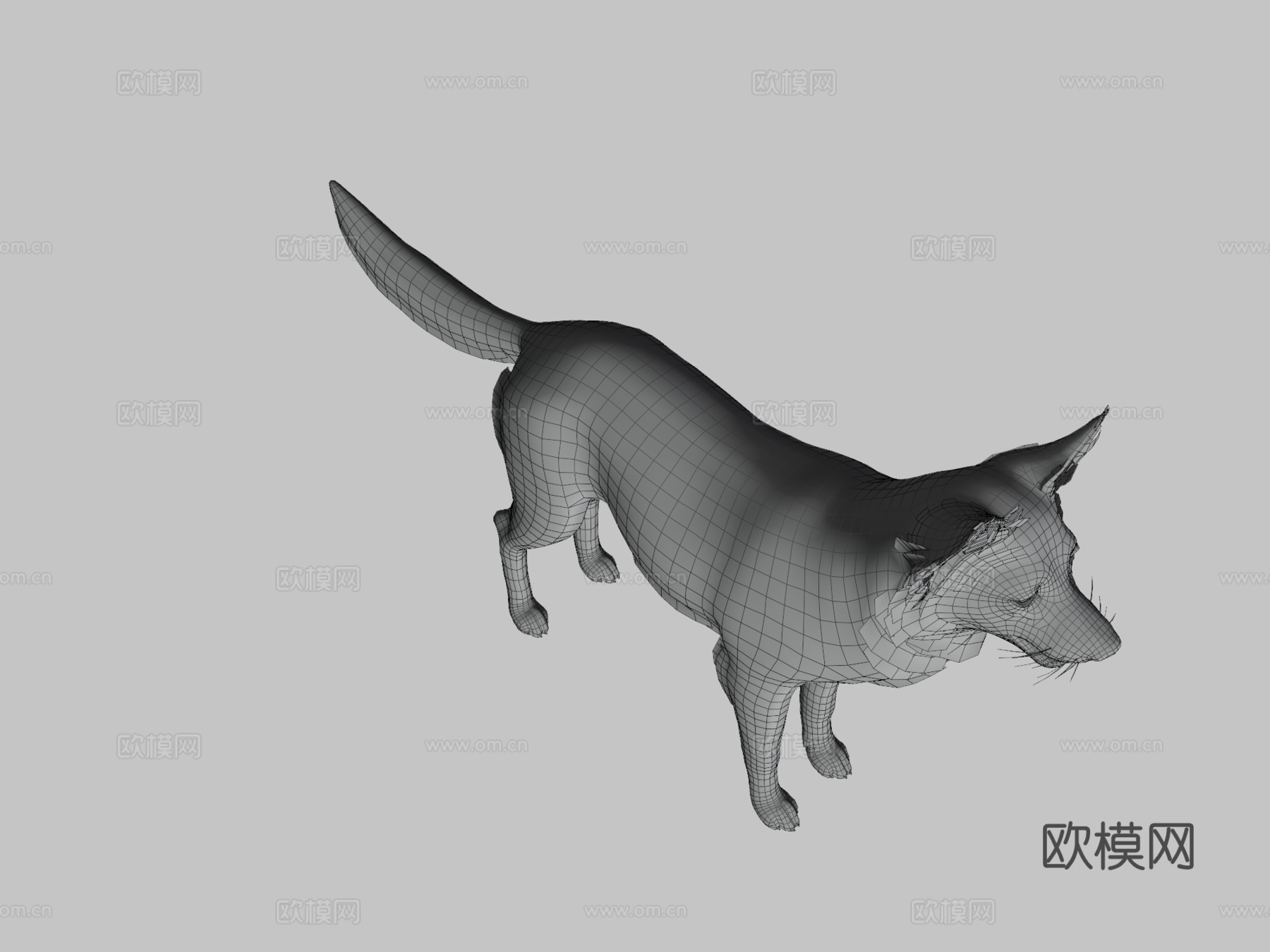 狗 - 边境牧羊犬v023d模型