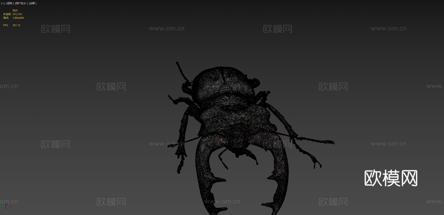 欧洲锹甲虫3d模型