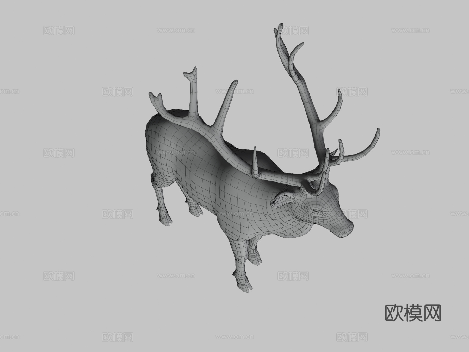 落基山马鹿雄鹿3d模型