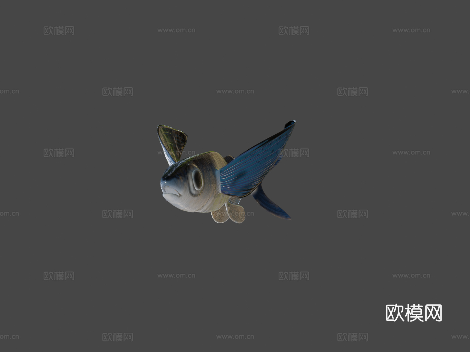 飞鱼3d模型