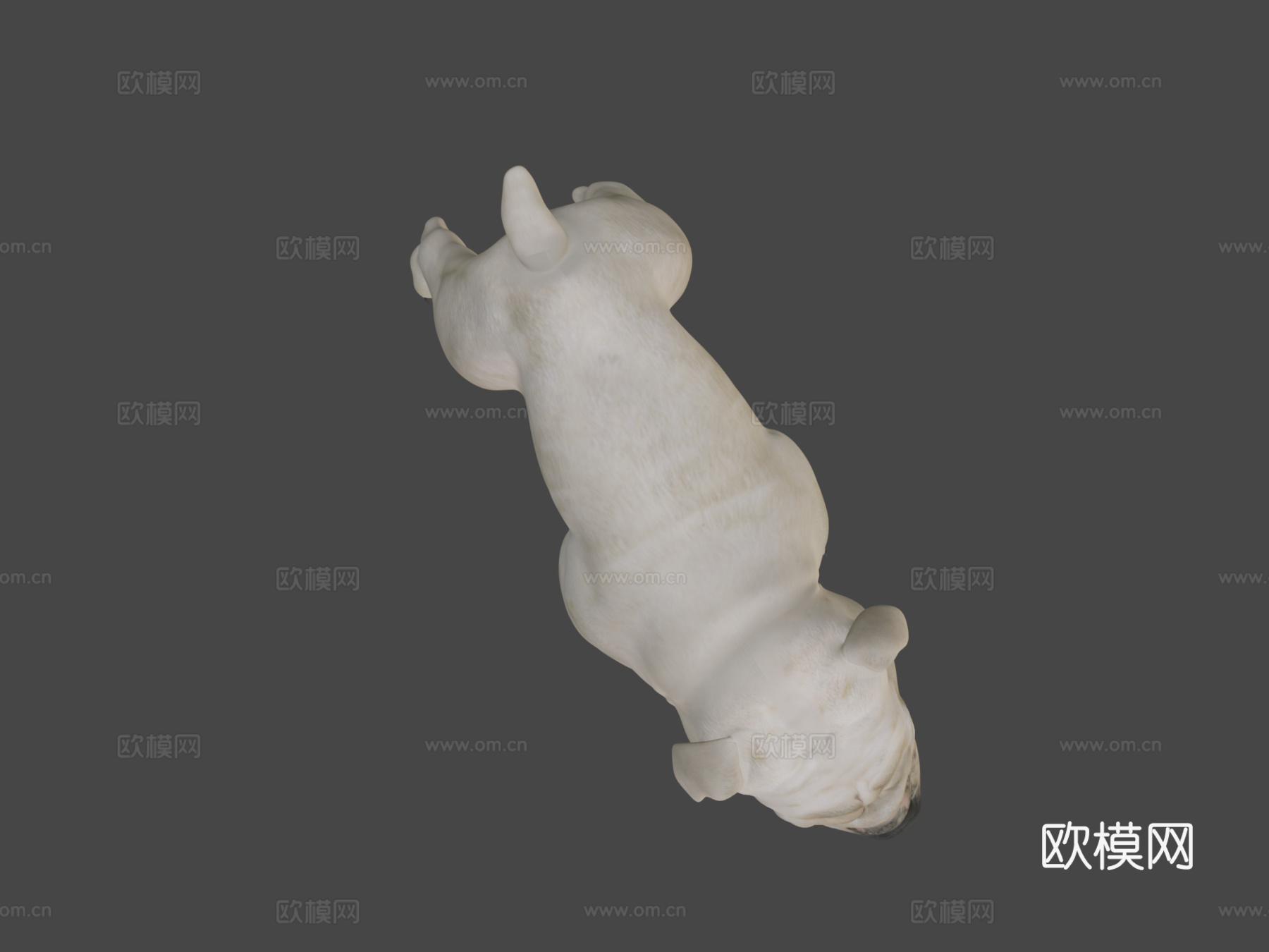 斗牛犬3d模型