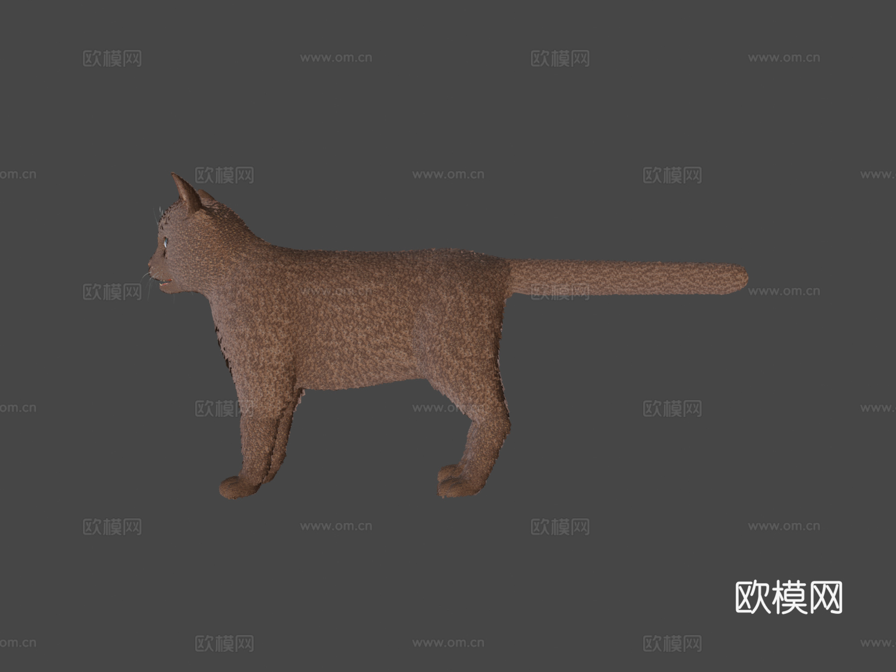 写实猫愿望实时毛发3d模型