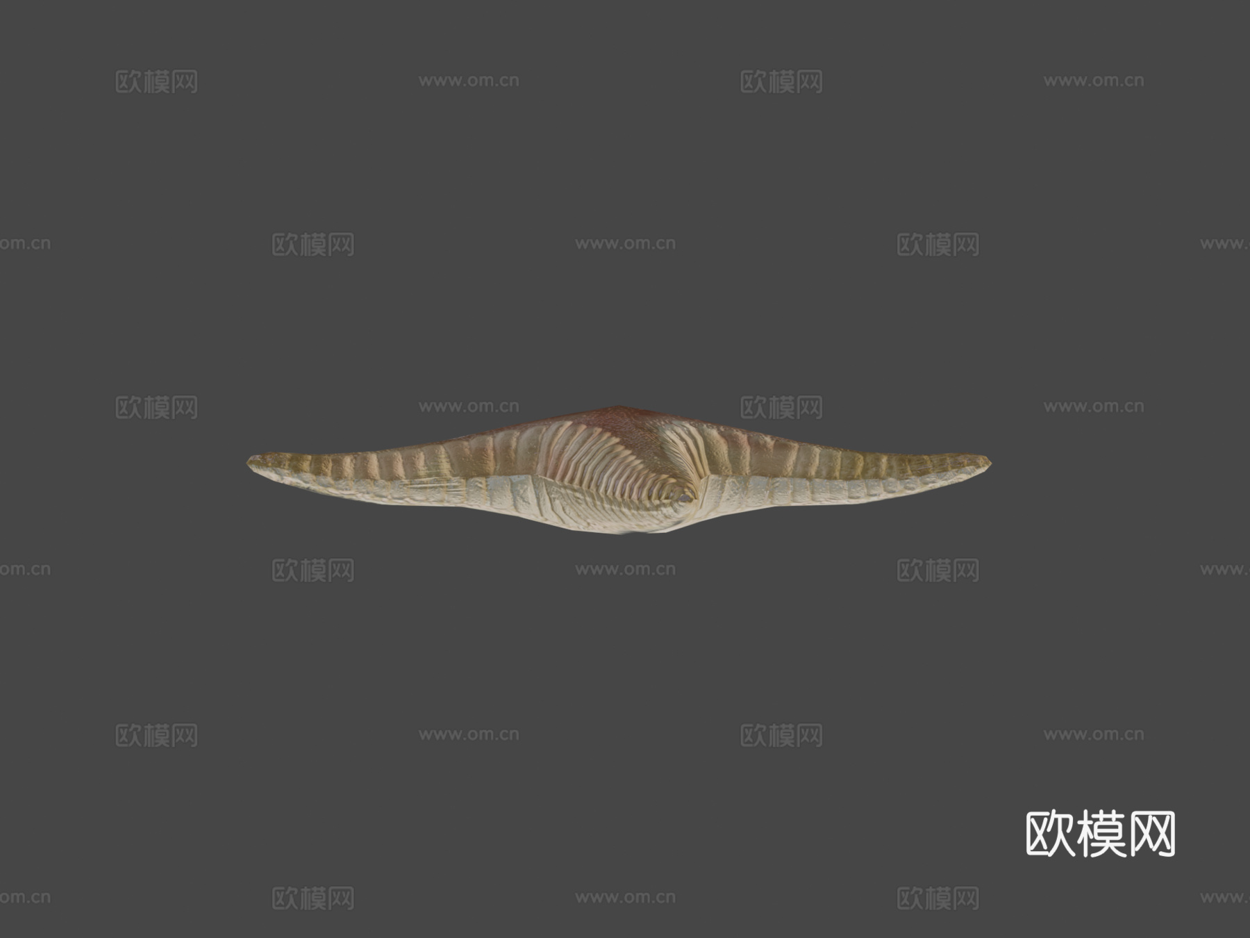 海星绑定3d模型