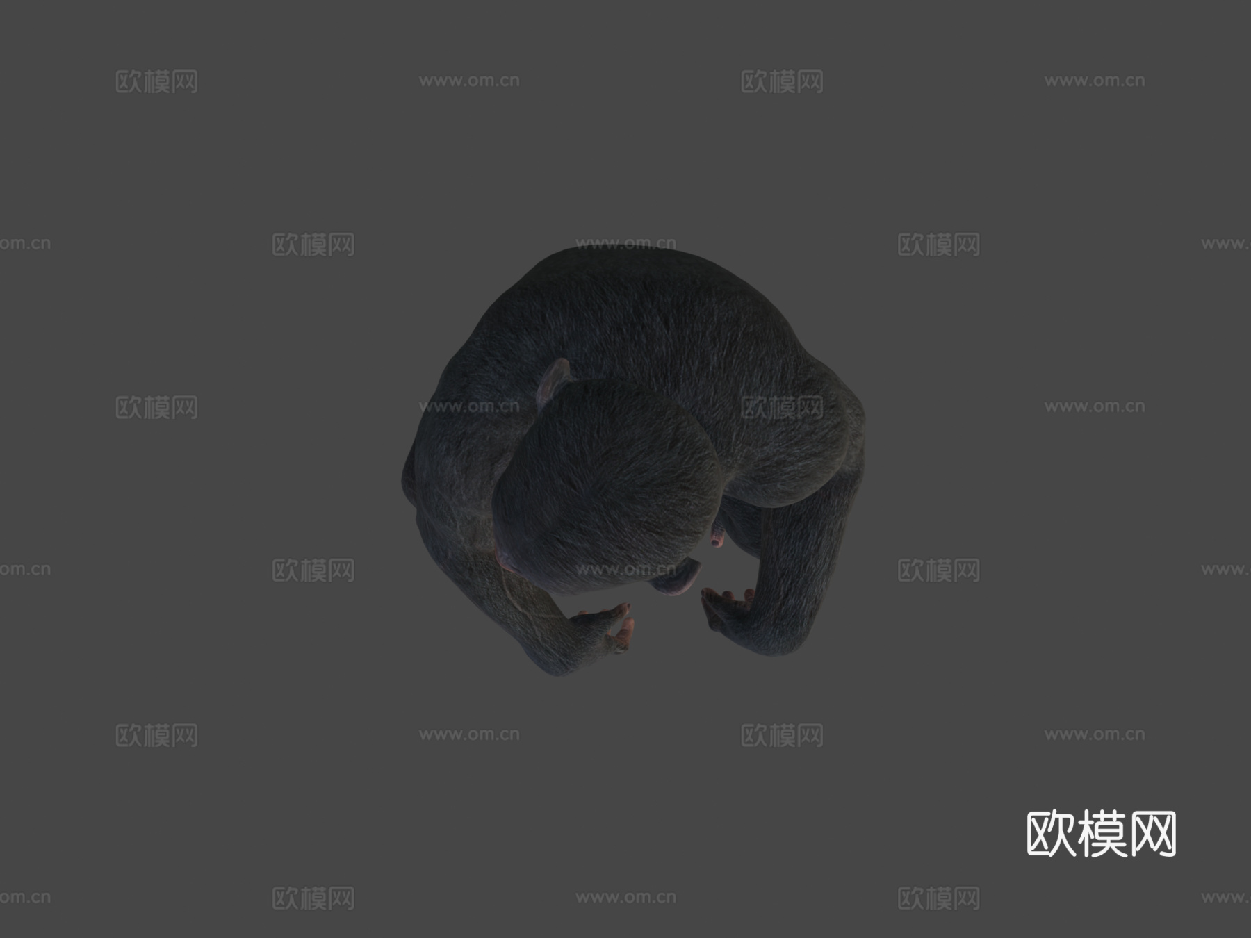 猿3d模型