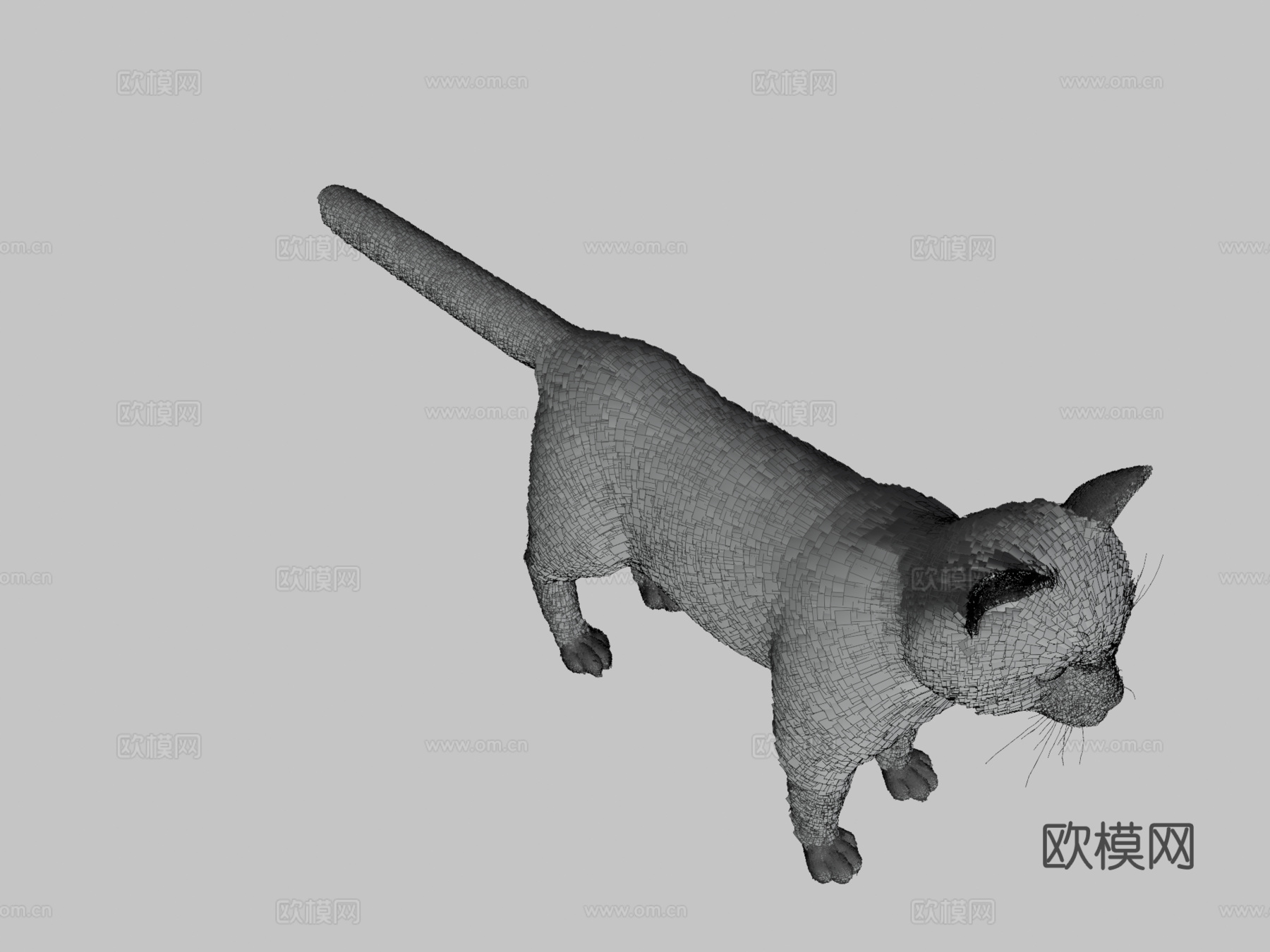 写实猫愿望实时毛发3d模型
