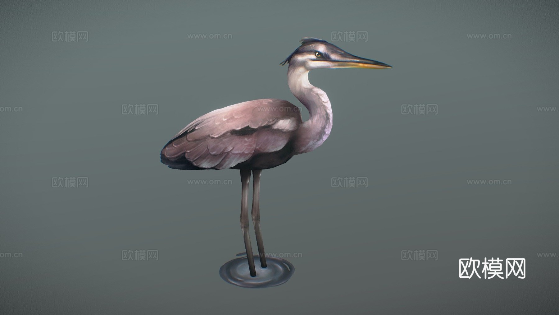 鸟3d模型