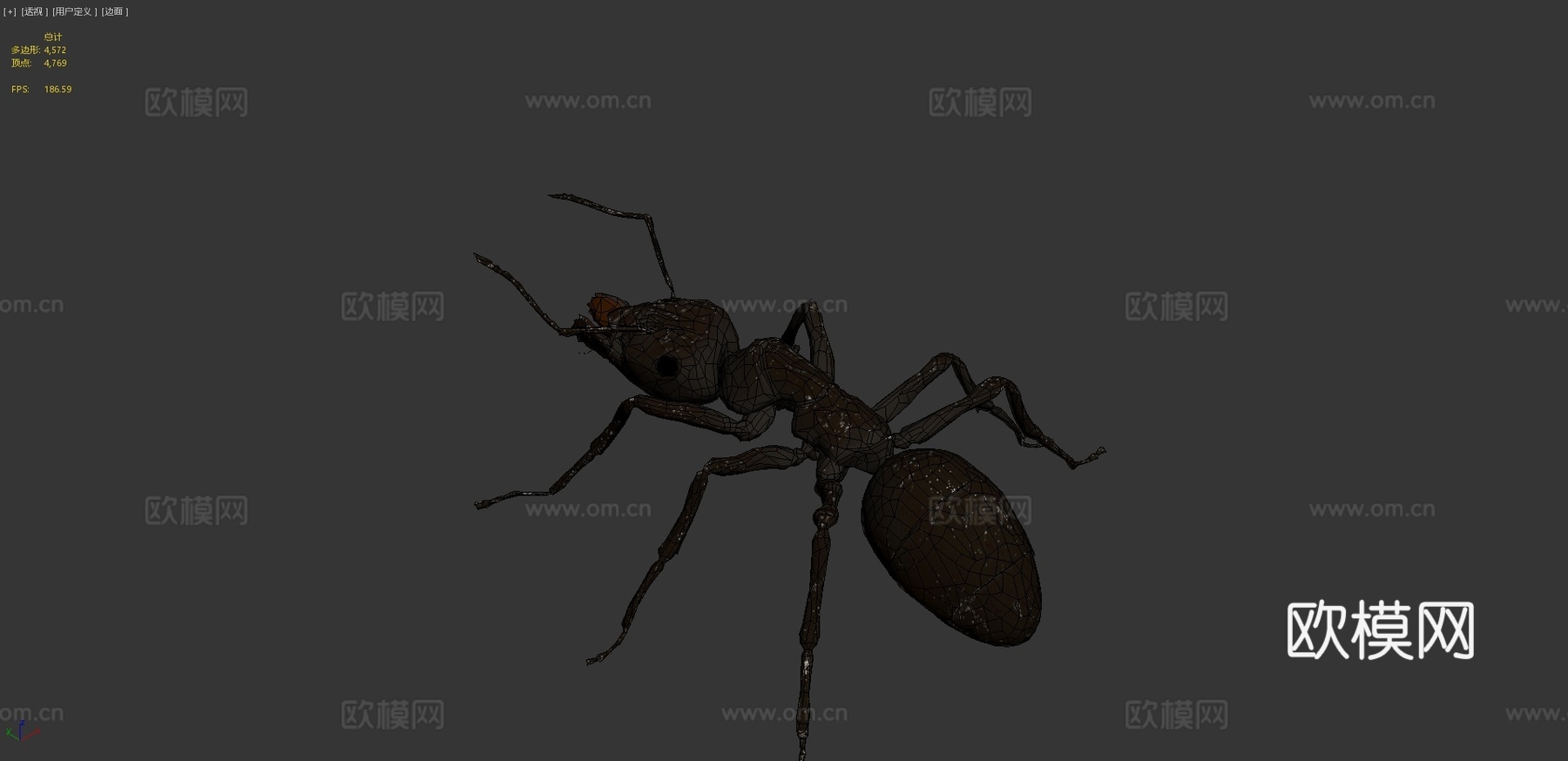 工匠蚁3d模型