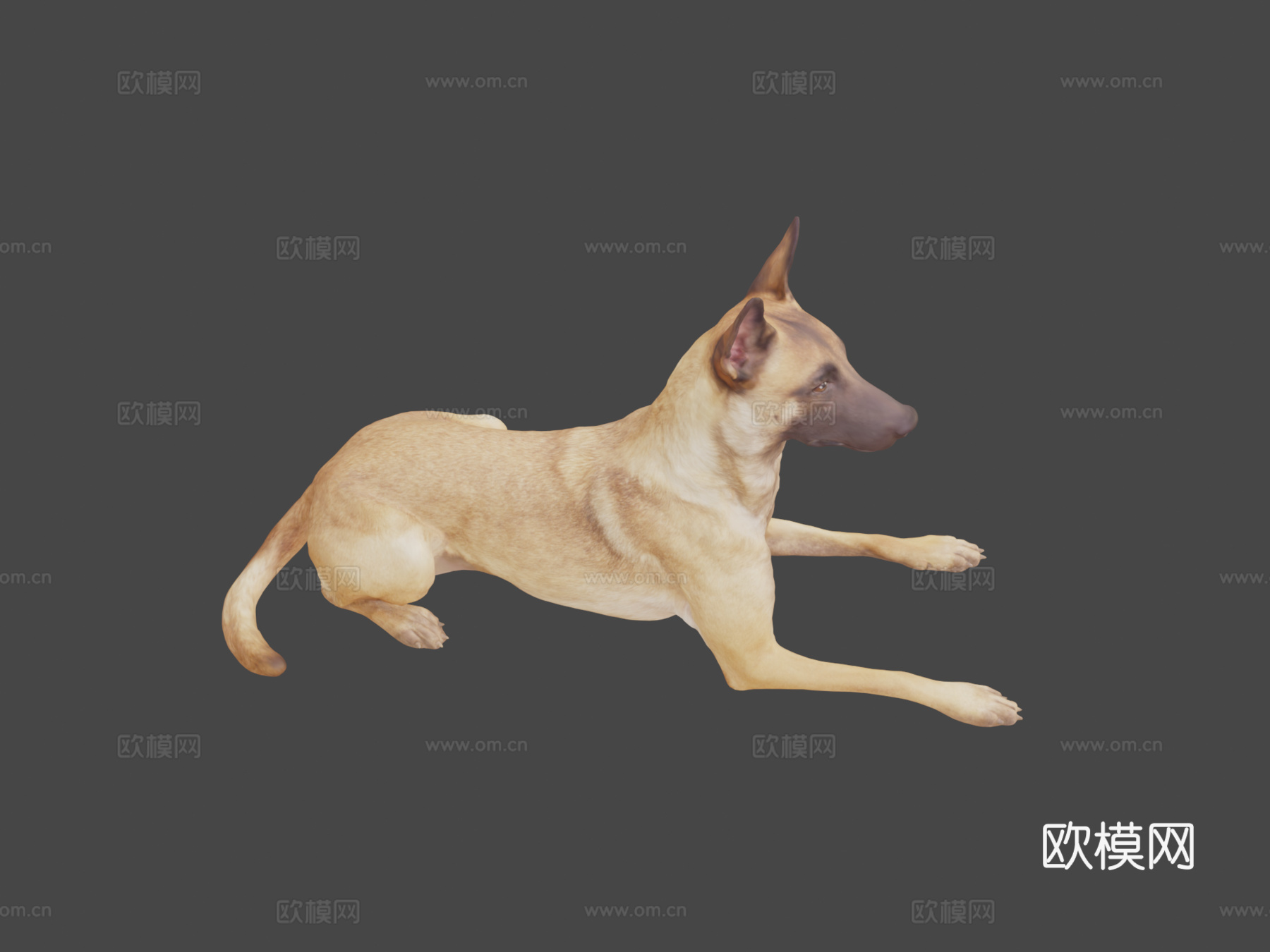 D模型K-9犬3d模型