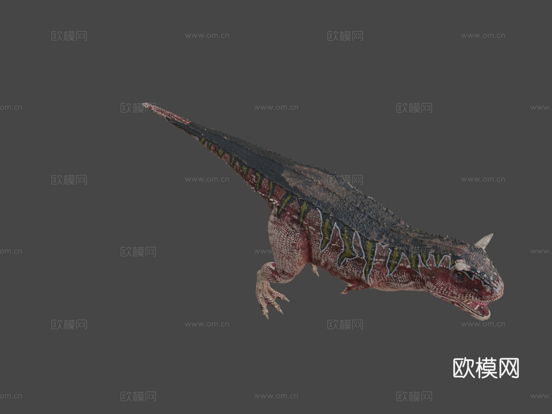 食肉牛龙3d模型
