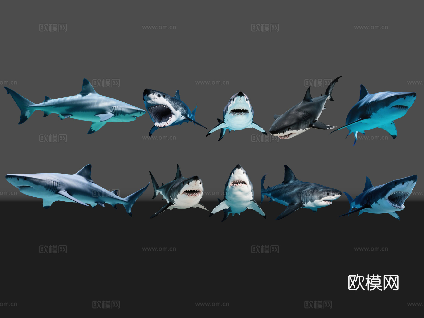 2D动物 鲨鱼 海洋馆 水族馆 动物世界 动物园su模型