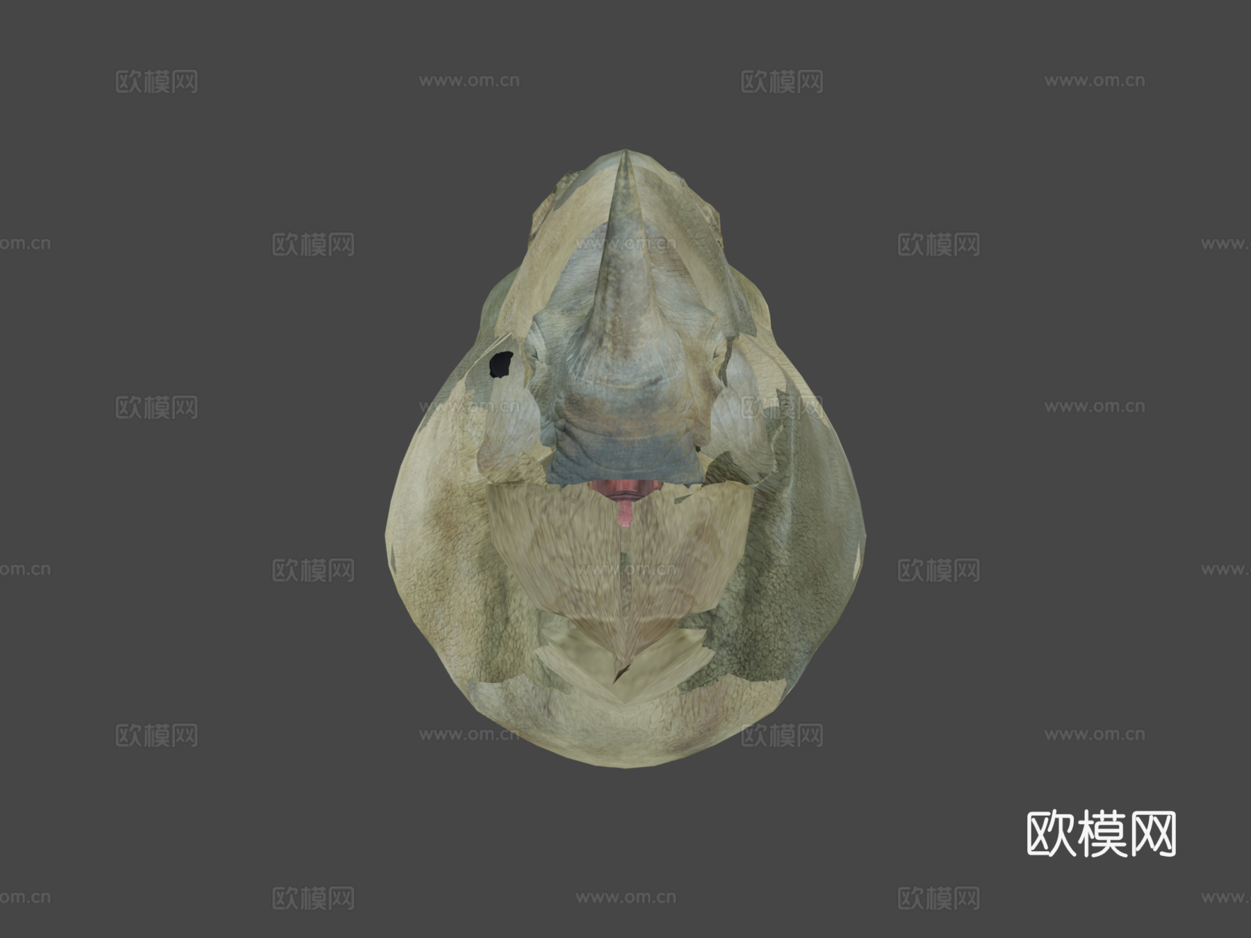 漂浮幻想岛上的动画犀牛循环3d模型