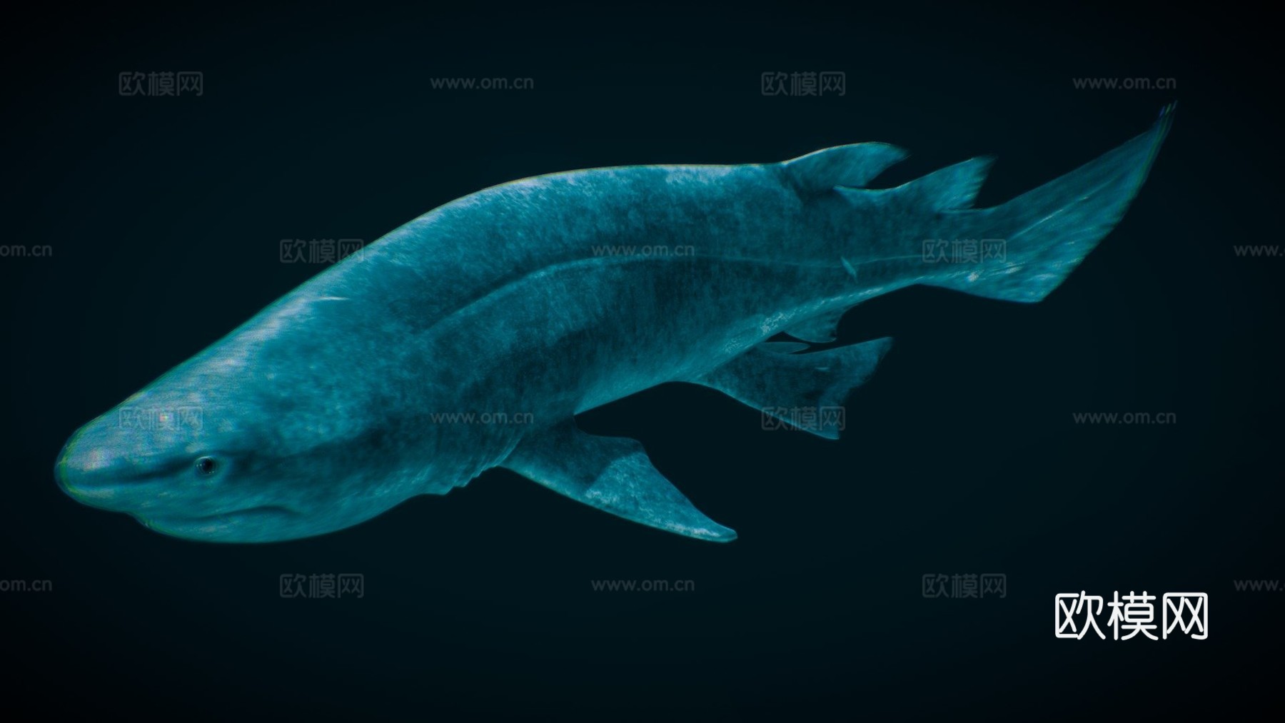 刺鲨3d模型