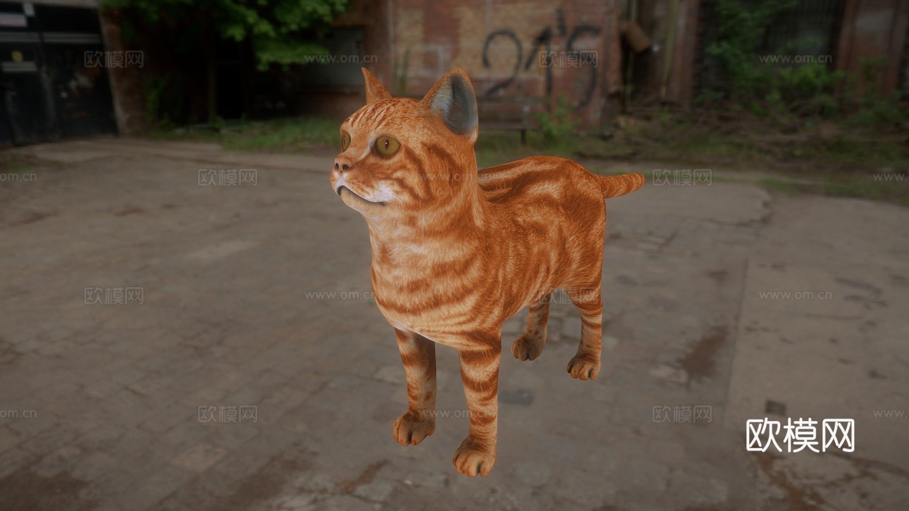 猫3D模型3d模型