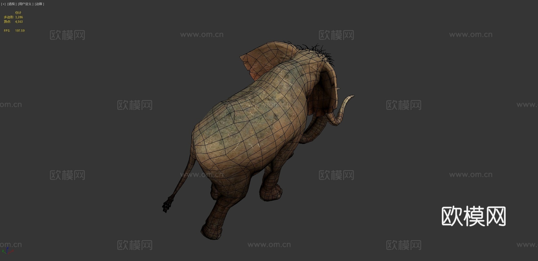 大象3d模型