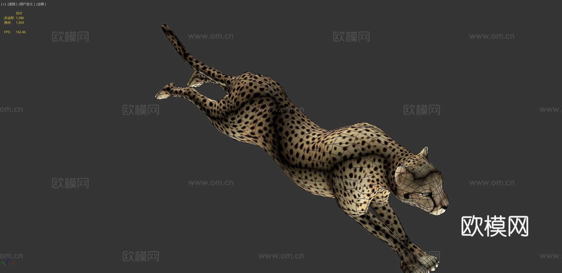 猎豹3d模型