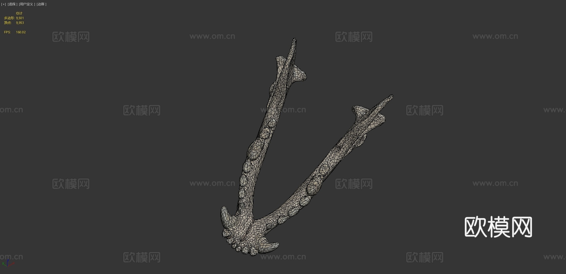 下颌骨（下颌骨）狗3d模型