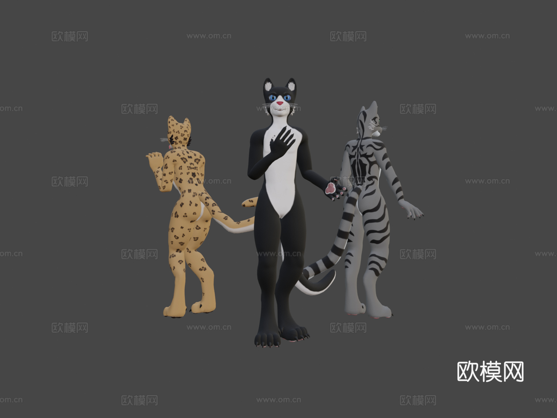 VRChat猫科基础模型3d模型