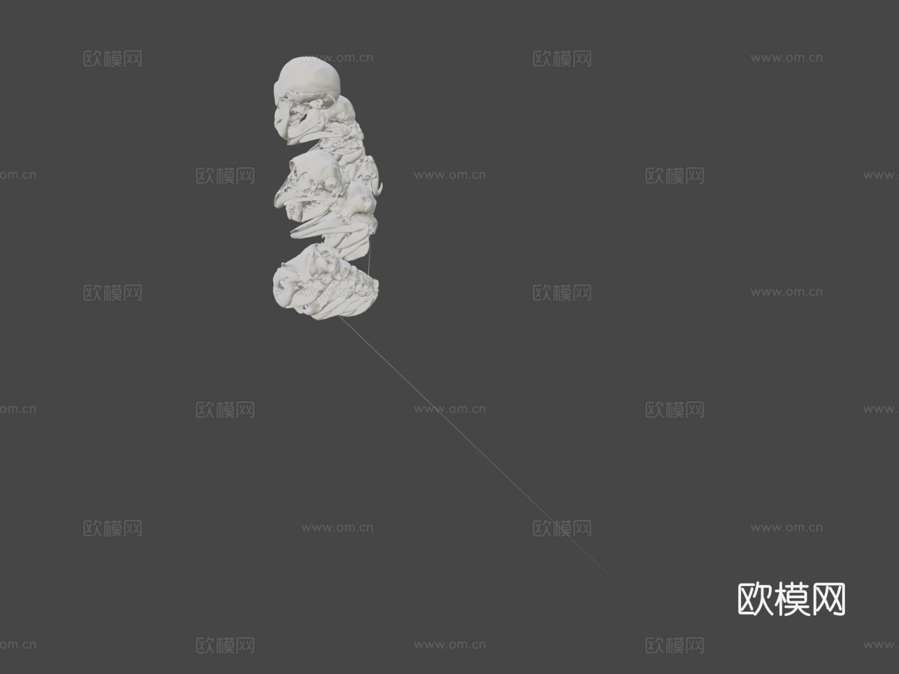 个动物头骨包第二卷3d模型