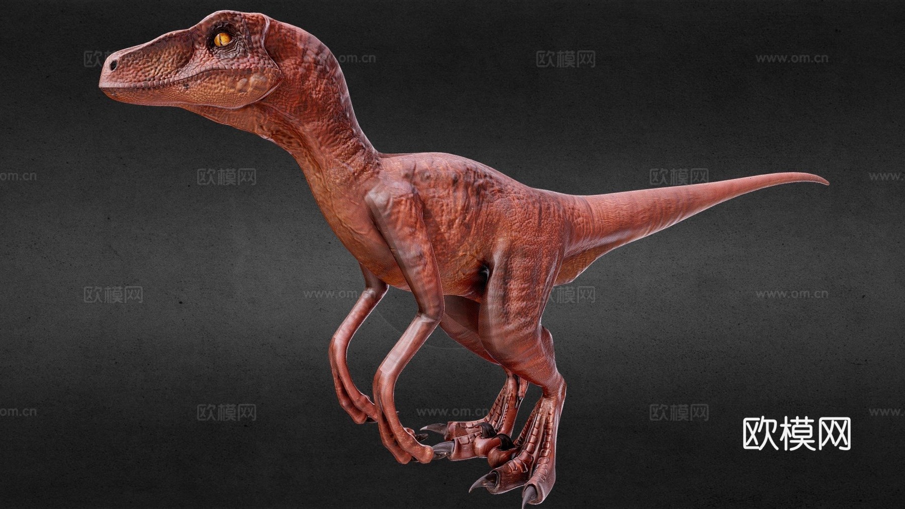 侏罗纪公园迅猛龙3d模型