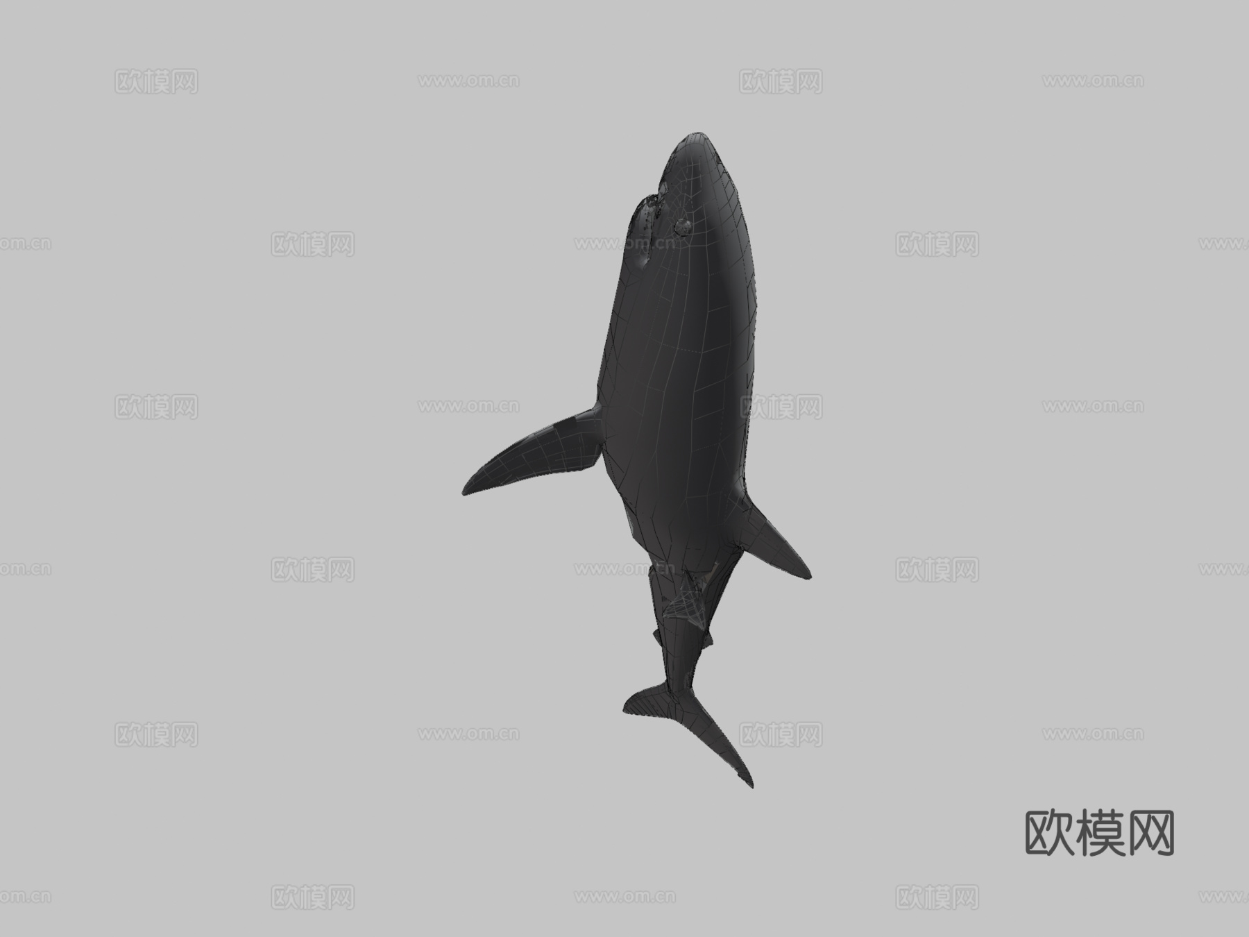 巨齿鲨对战大白鲨3d模型
