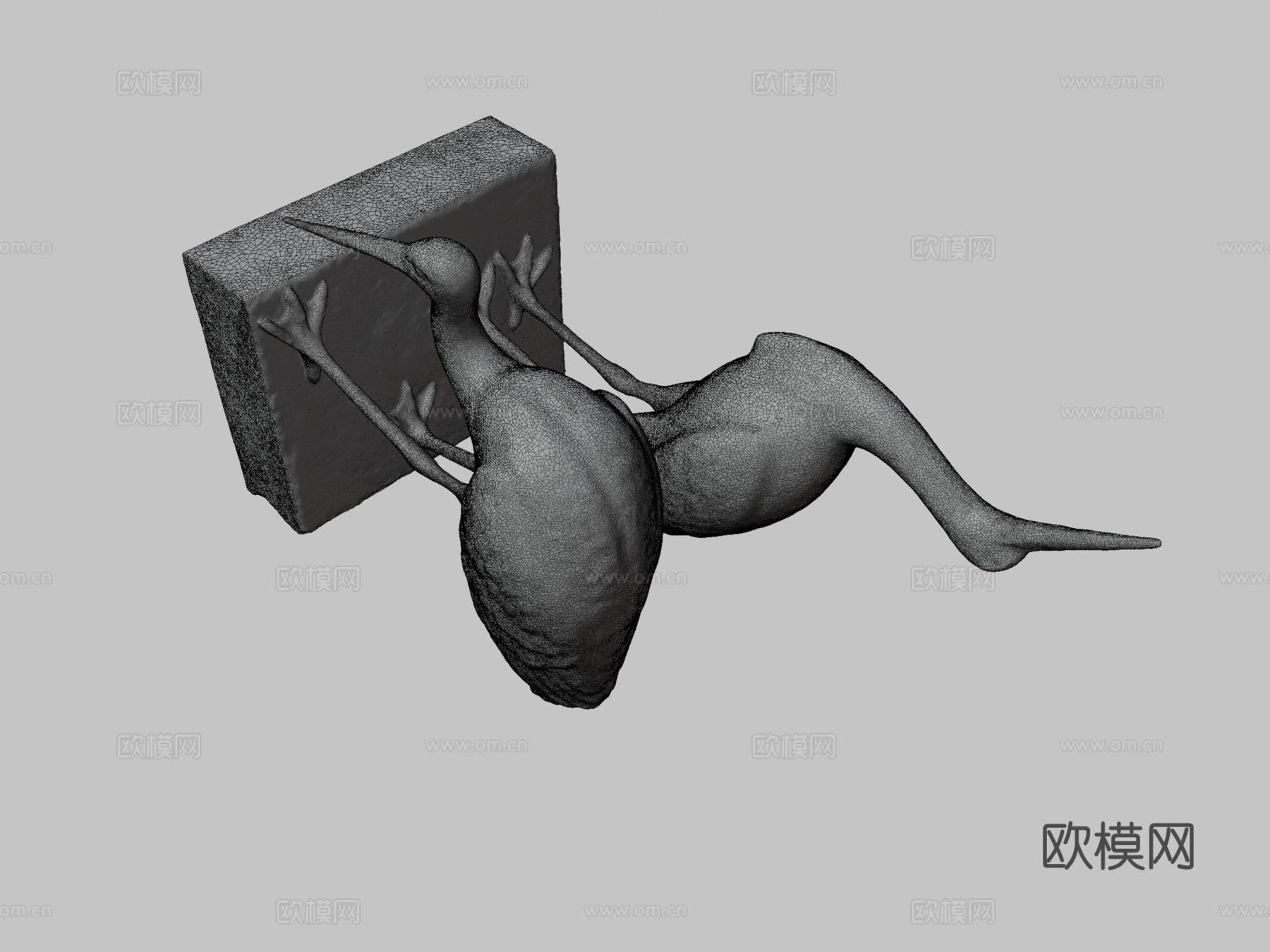 鹳夫妇3d模型