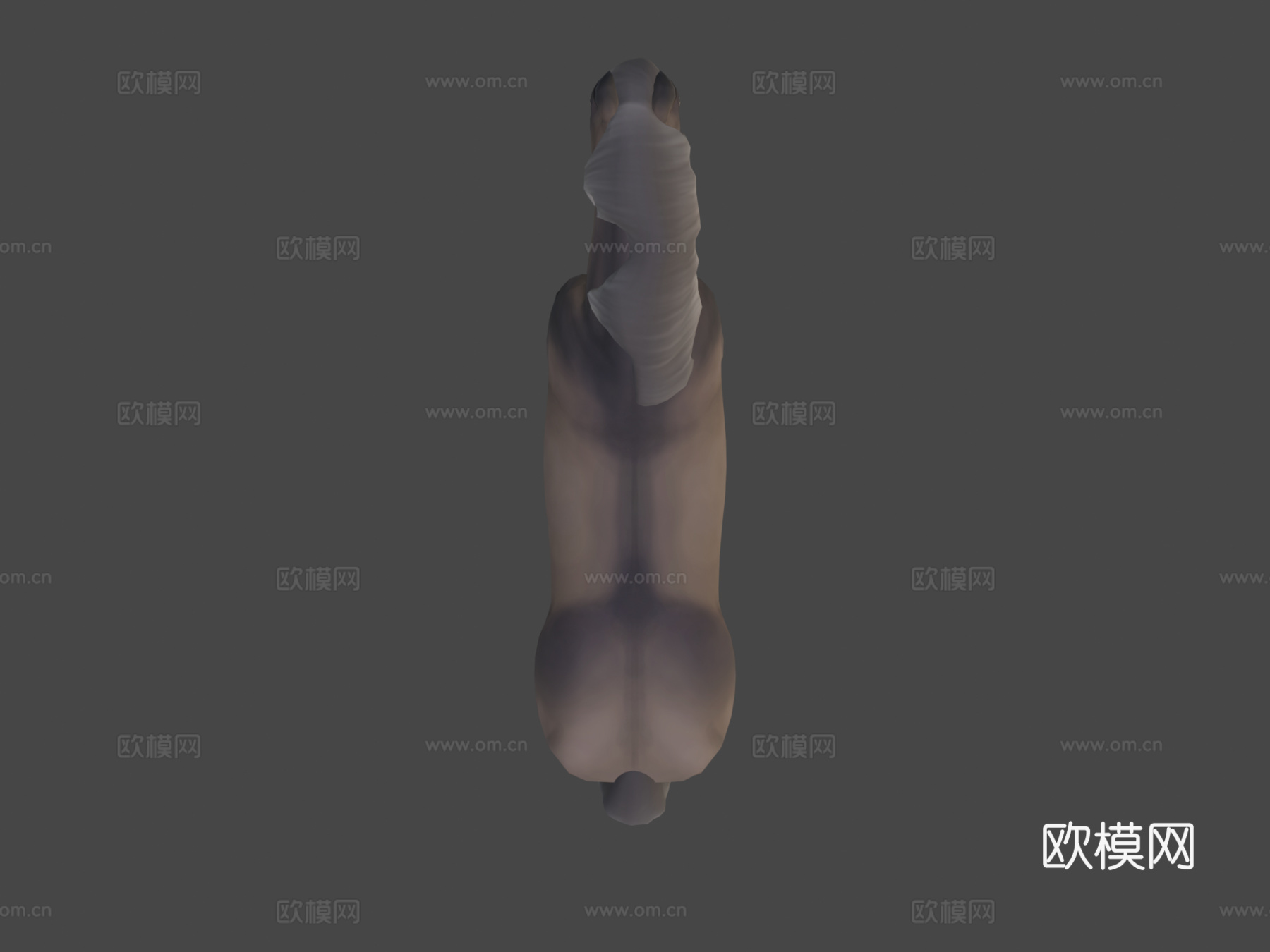 冰岛马3d模型