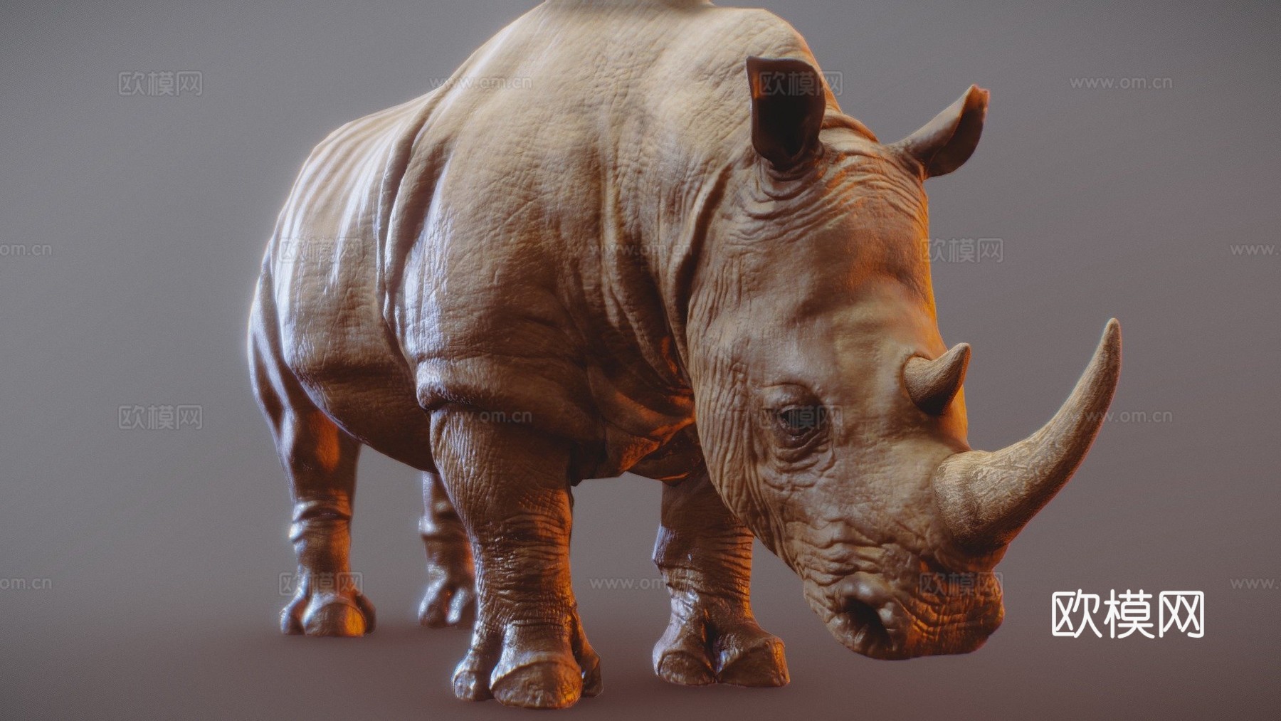 犀牛3d模型