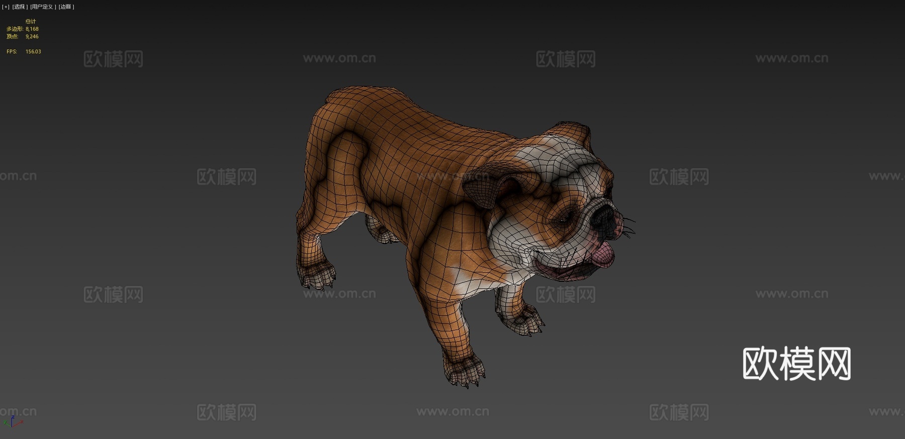 狗-斗牛犬3d模型