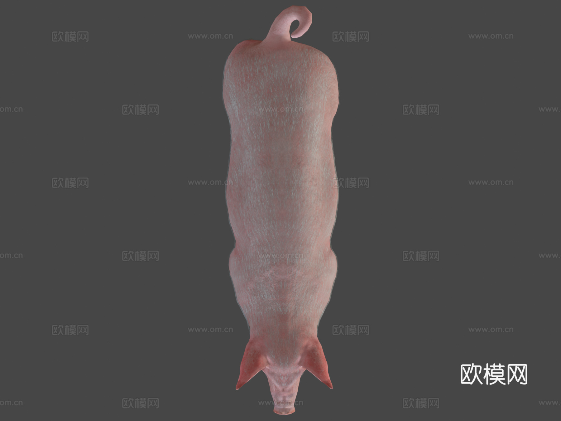 动画猪3d模型