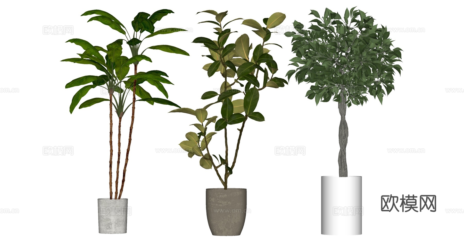 植物盆栽su模型