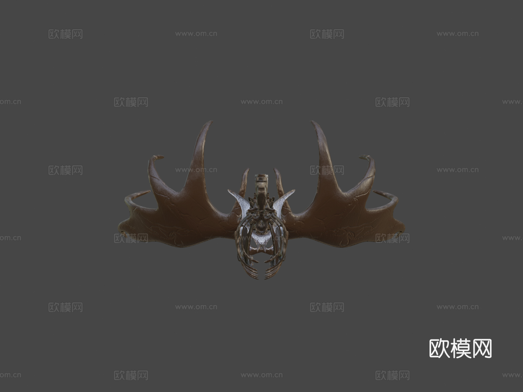 爱尔兰鹿化石3d模型