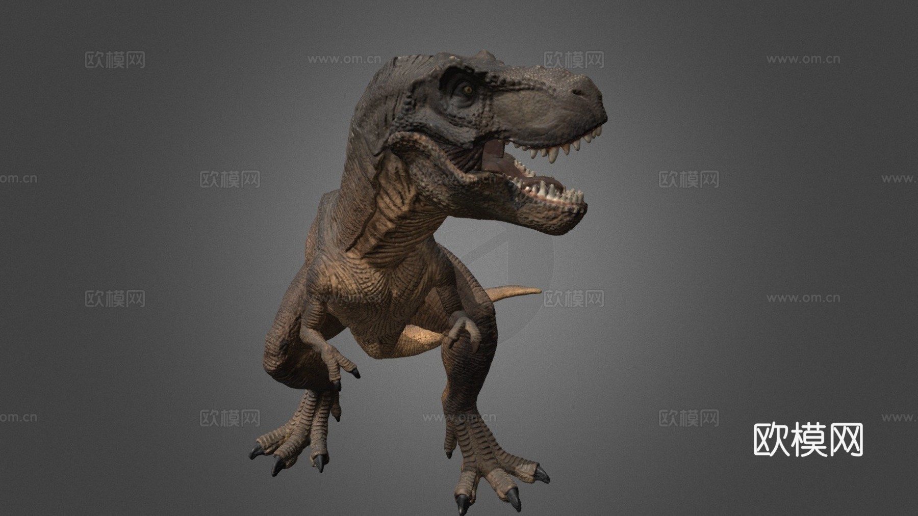 霸王龙3d模型