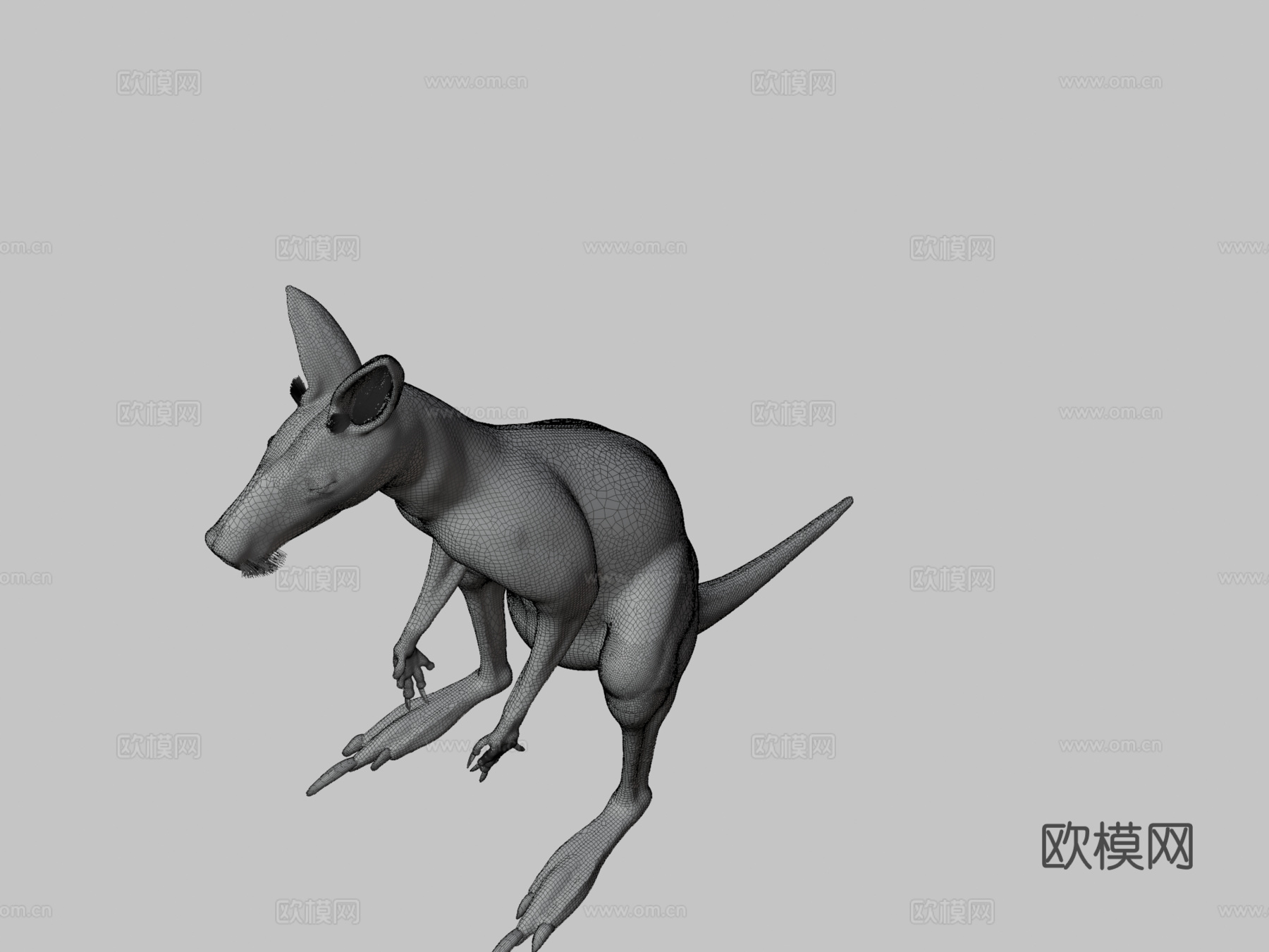 袋鼠3d模型