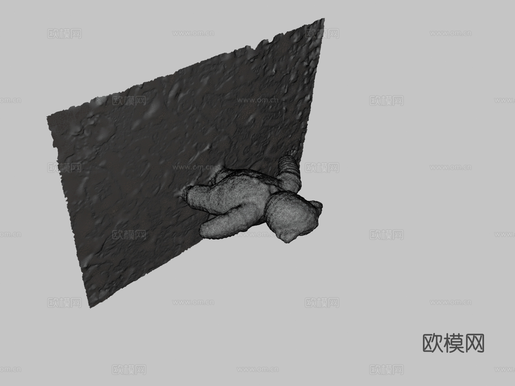 编织熊—123D捕捉评测3d模型