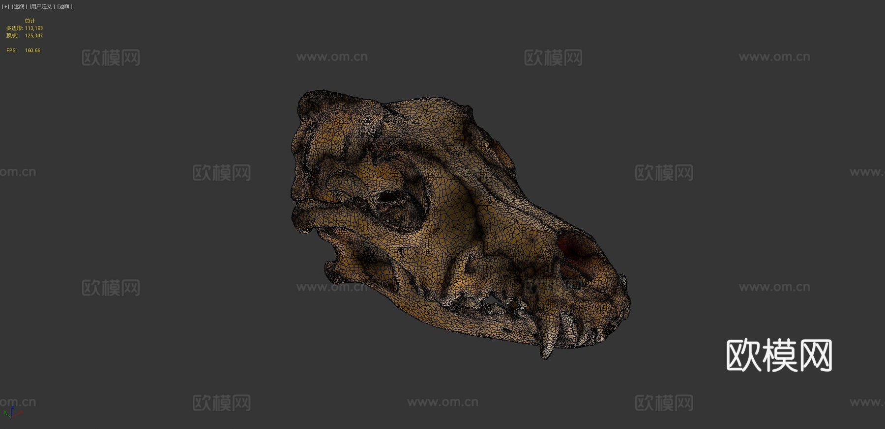 德国牧羊犬头骨扫描3d模型