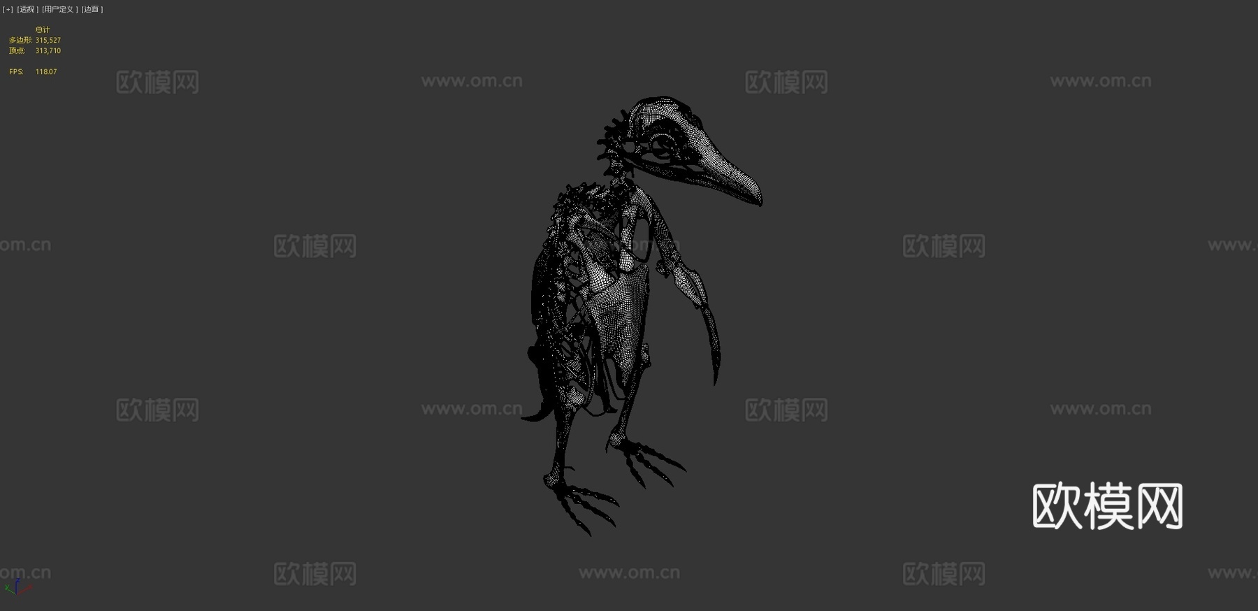 麦哲伦企鹅骨架3d模型
